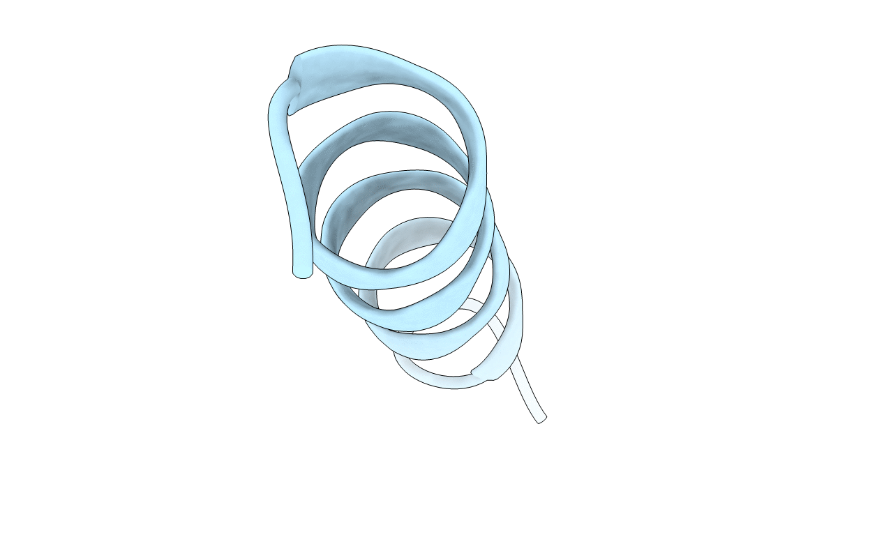 1PEF image