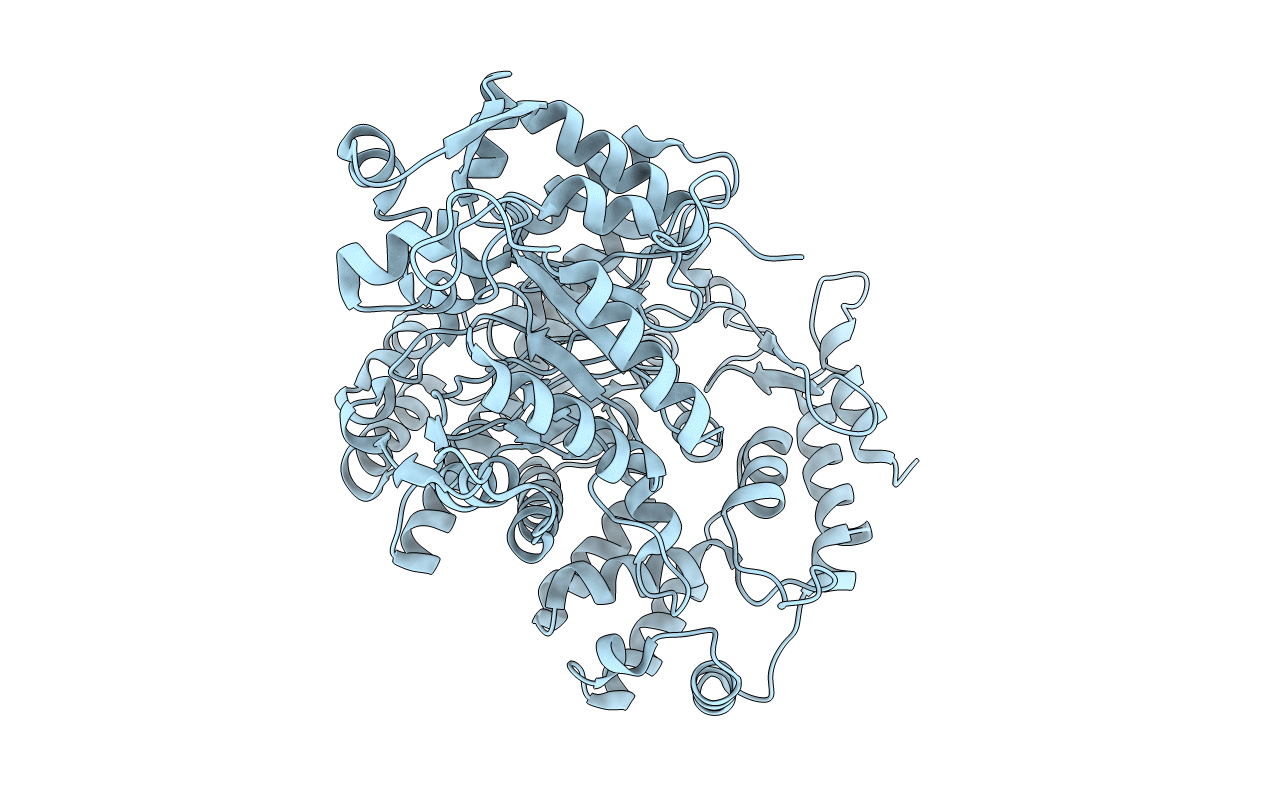 1PEM image
