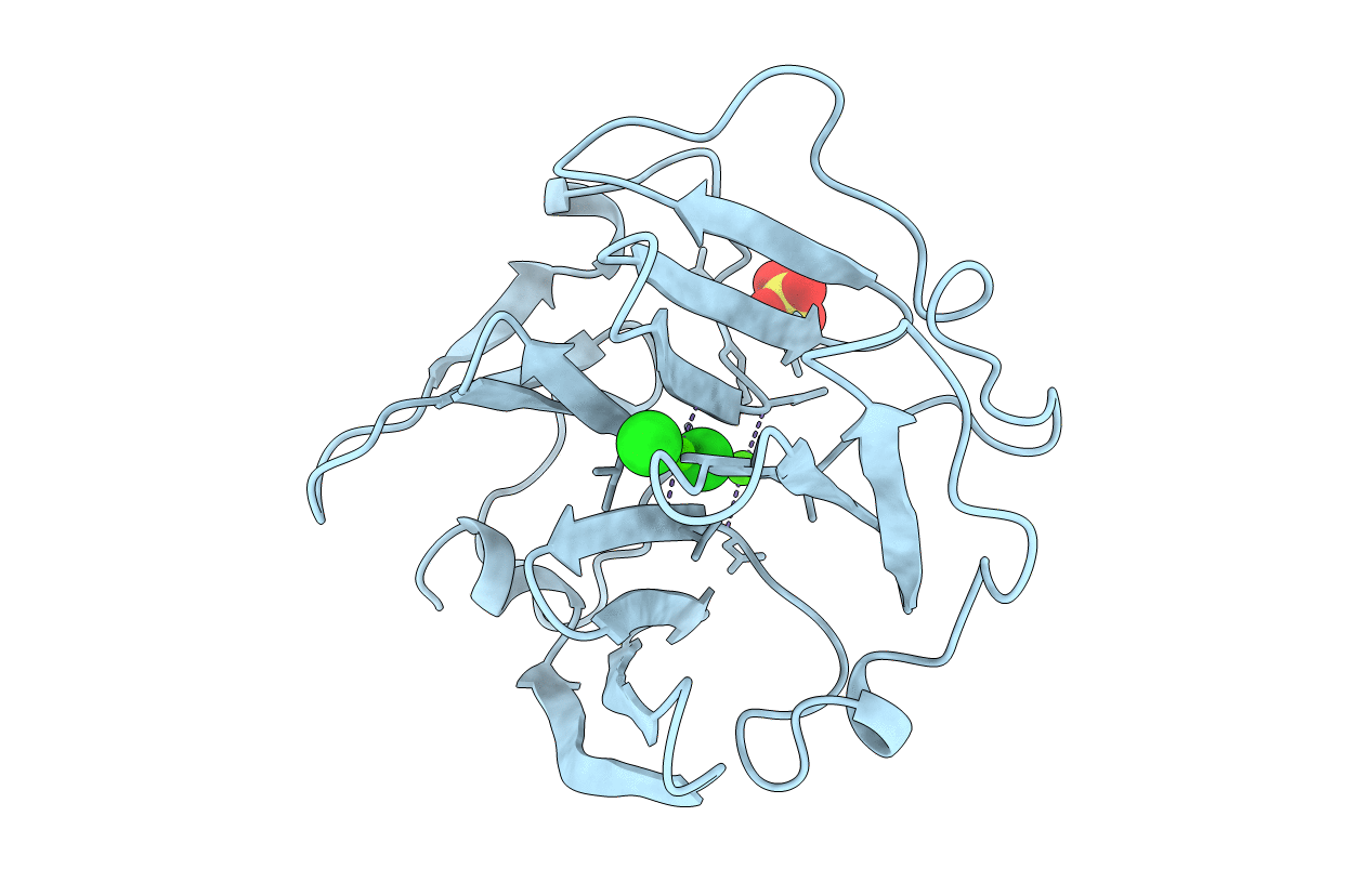 1PEX image