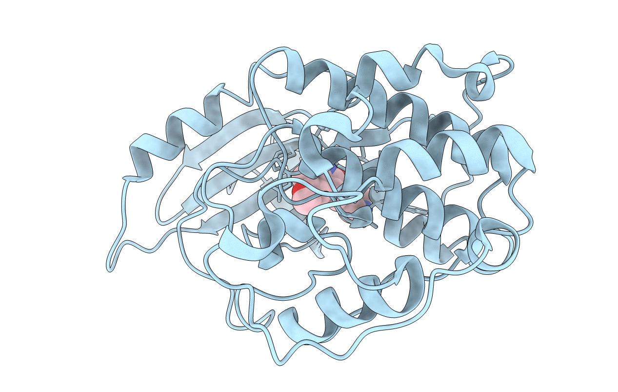 1PF8 image