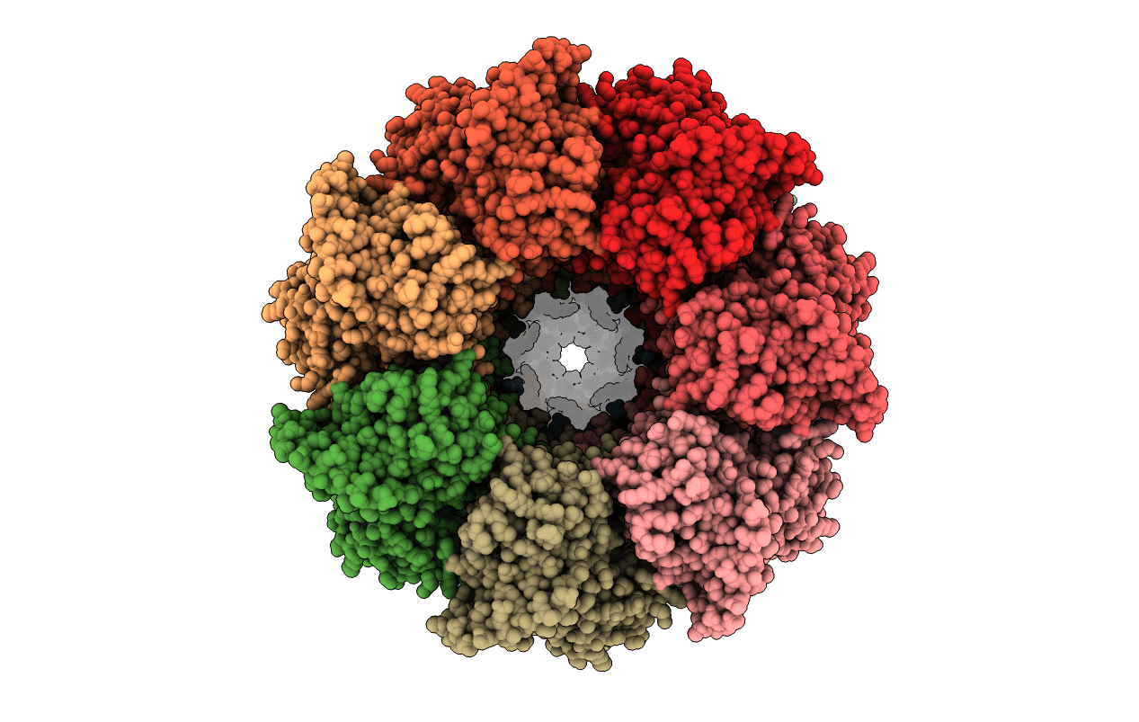 1PF9 image