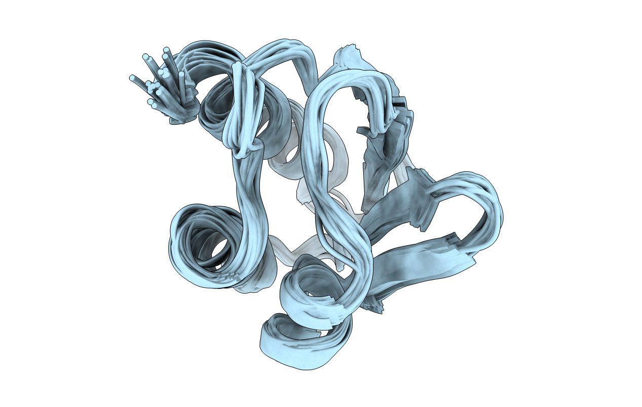 1PFH image