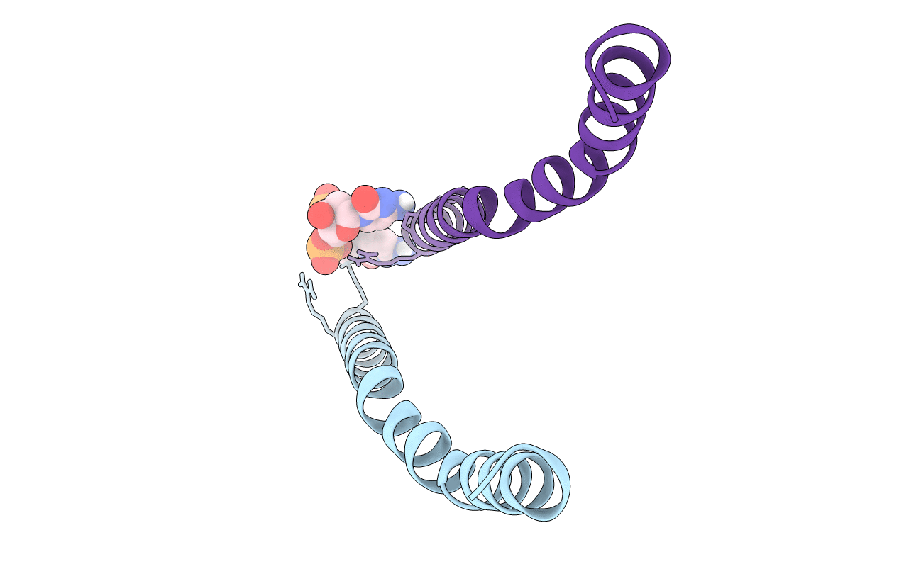 1PFI image