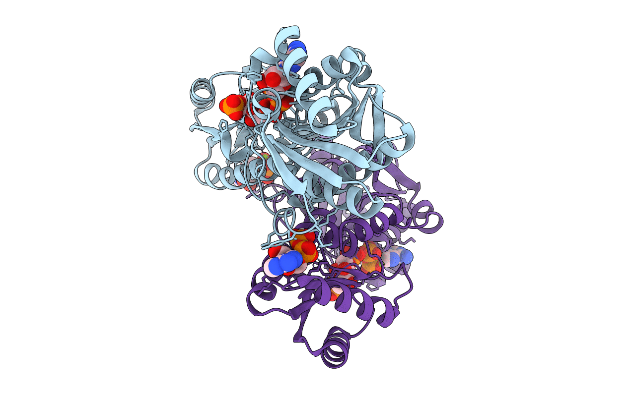 1PFK image