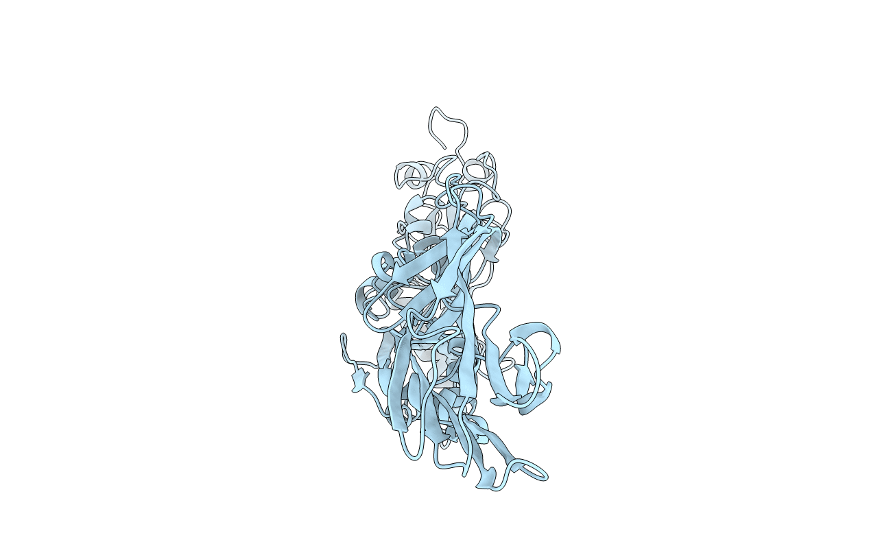 1pfo image
