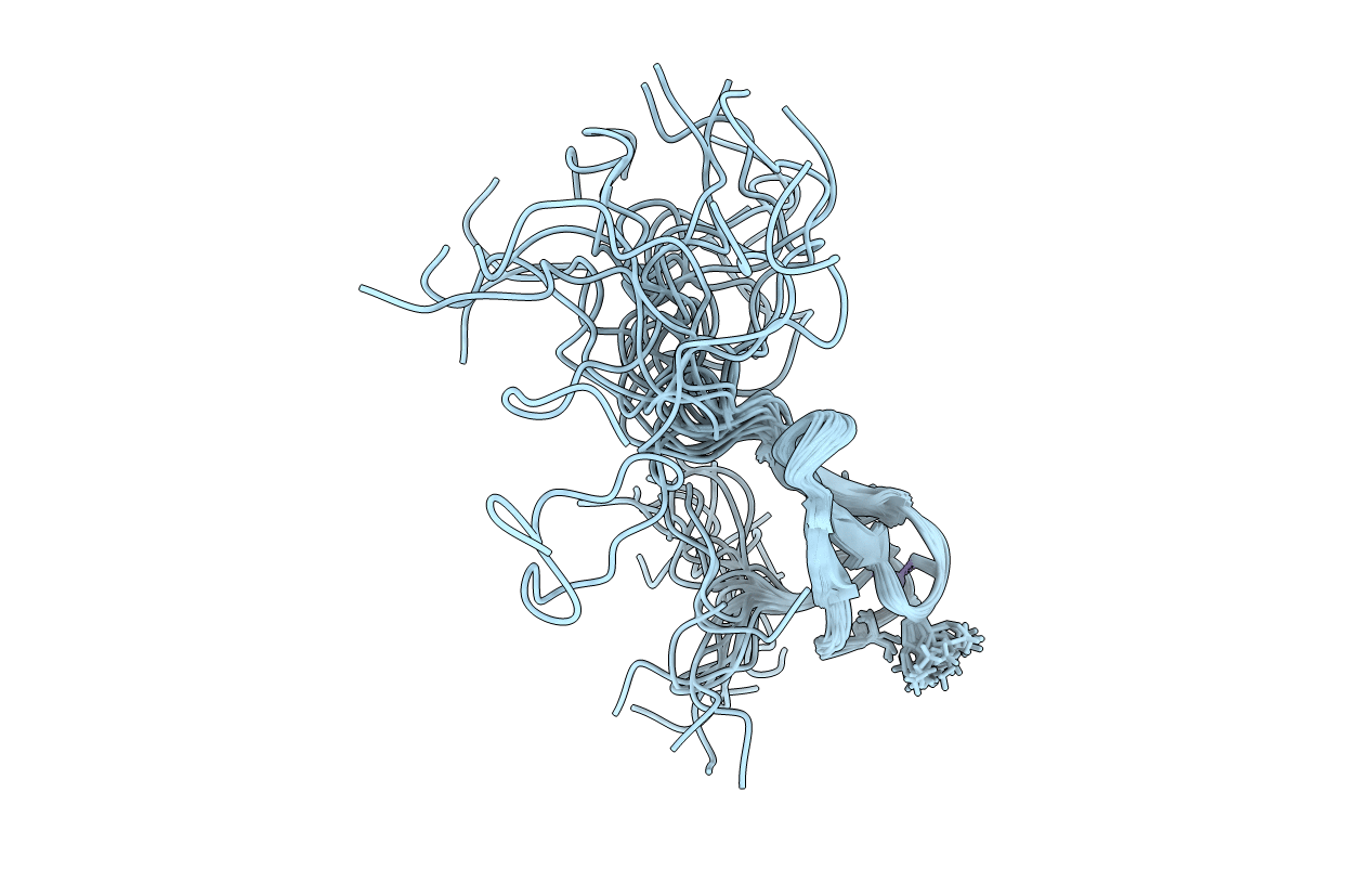 1pft image