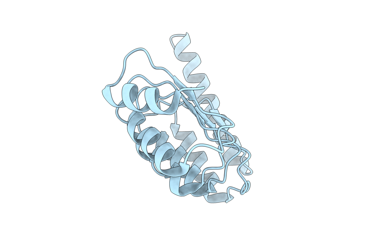 1PGV image