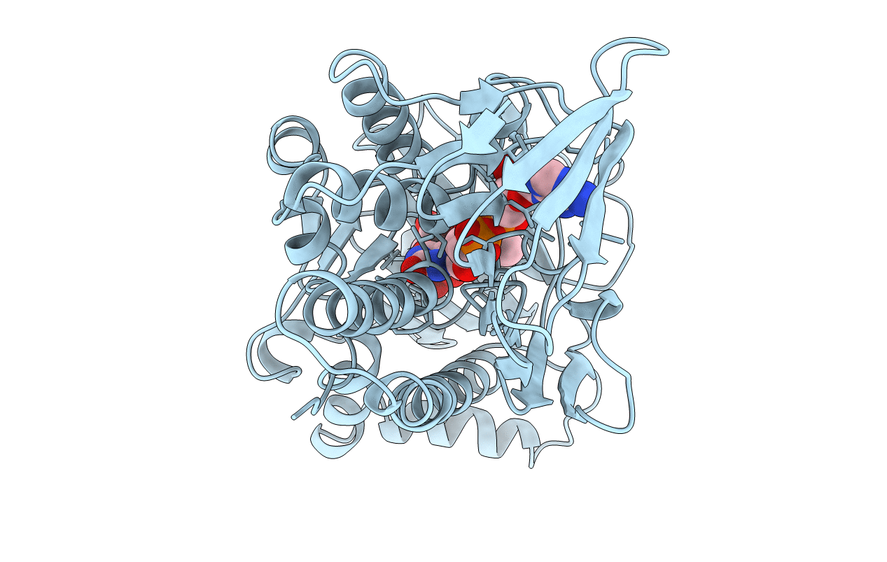 1PHH image