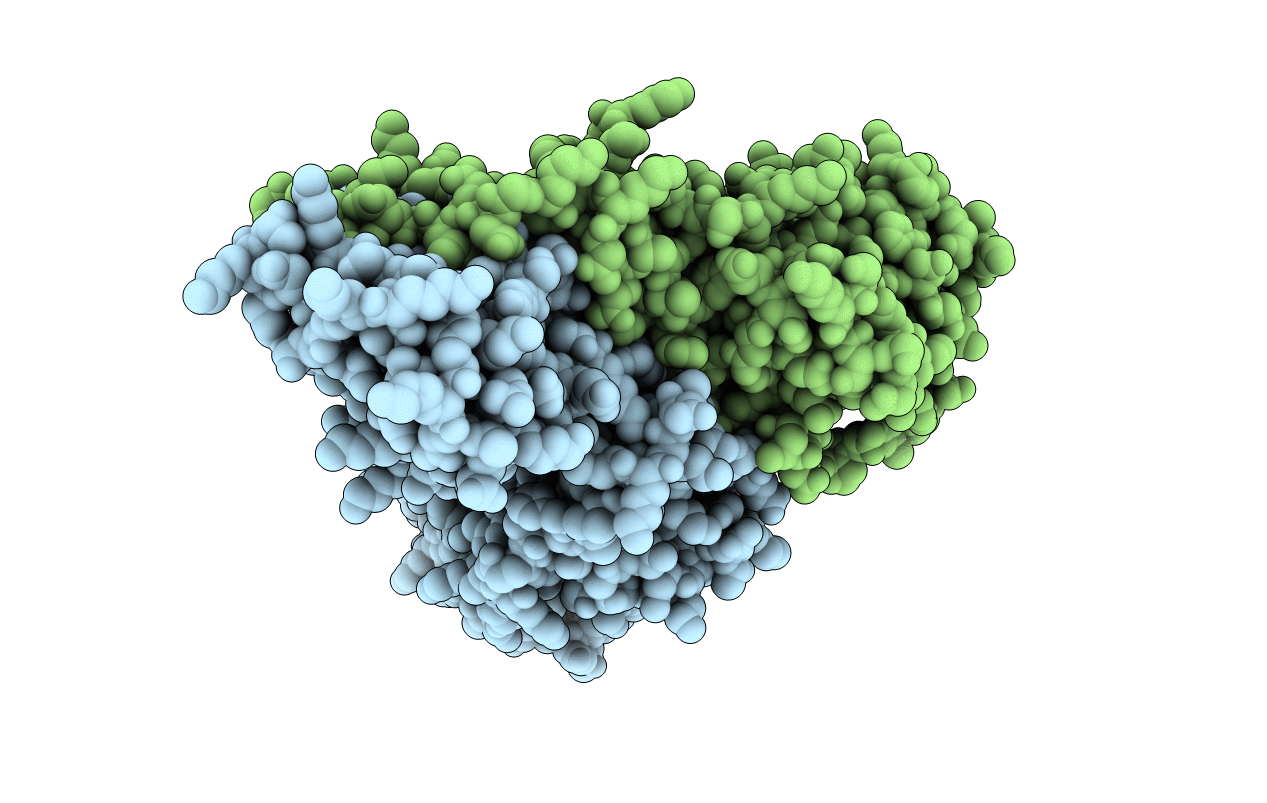 1PHJ image