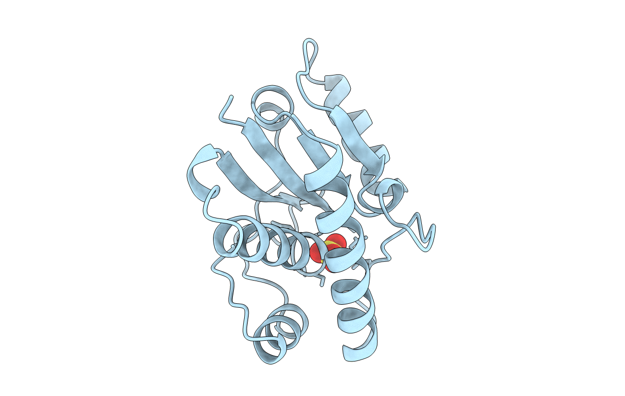 1PHR image