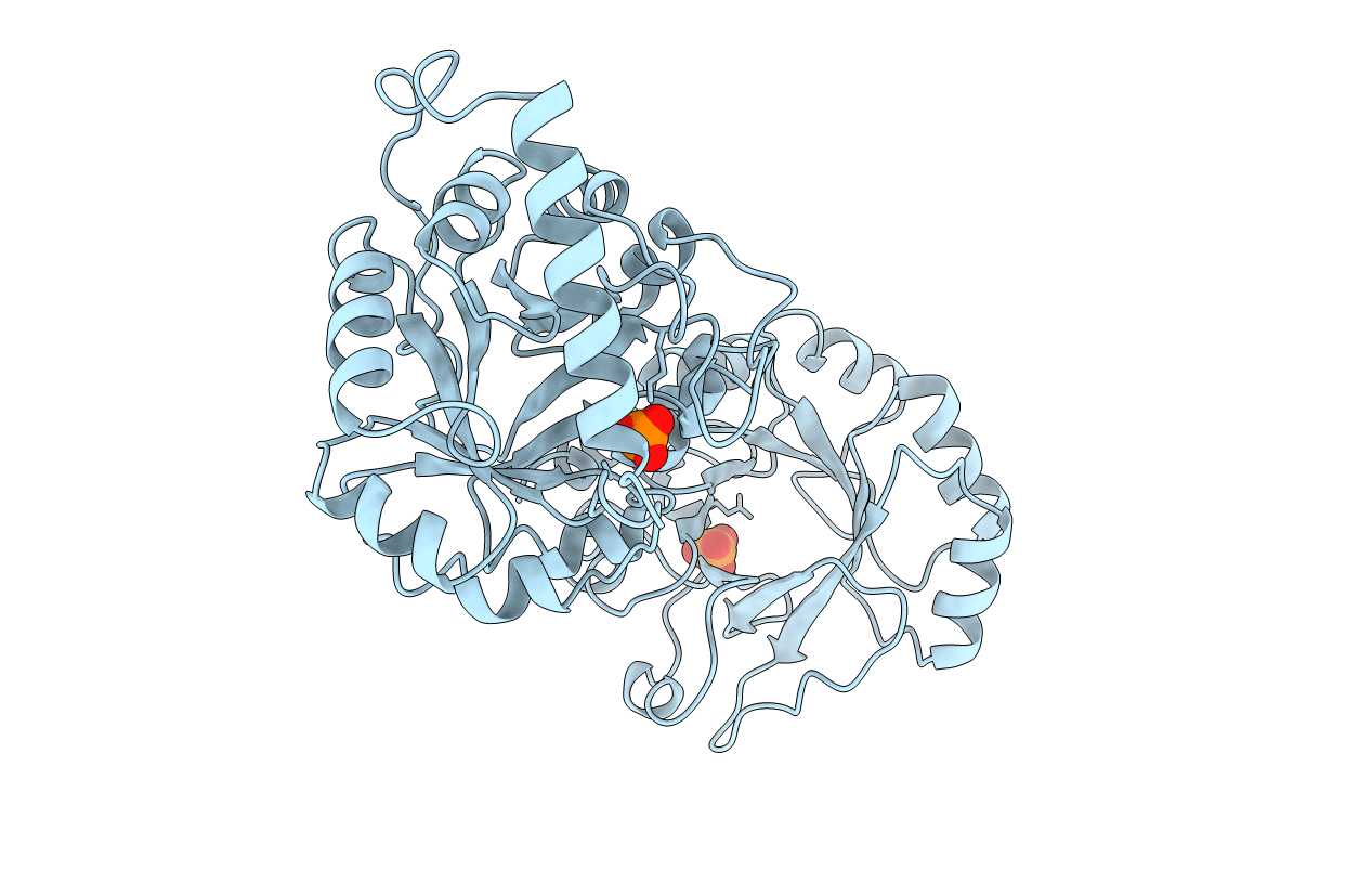 1pii image