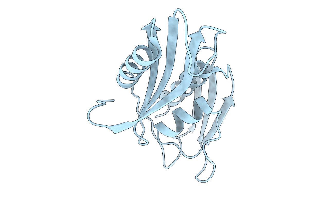 1PKP image