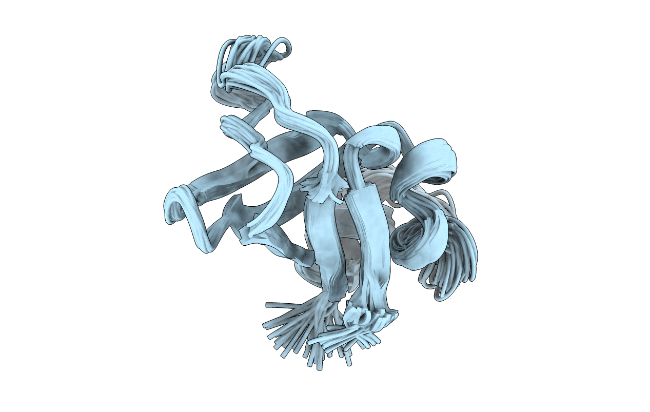1PKT image