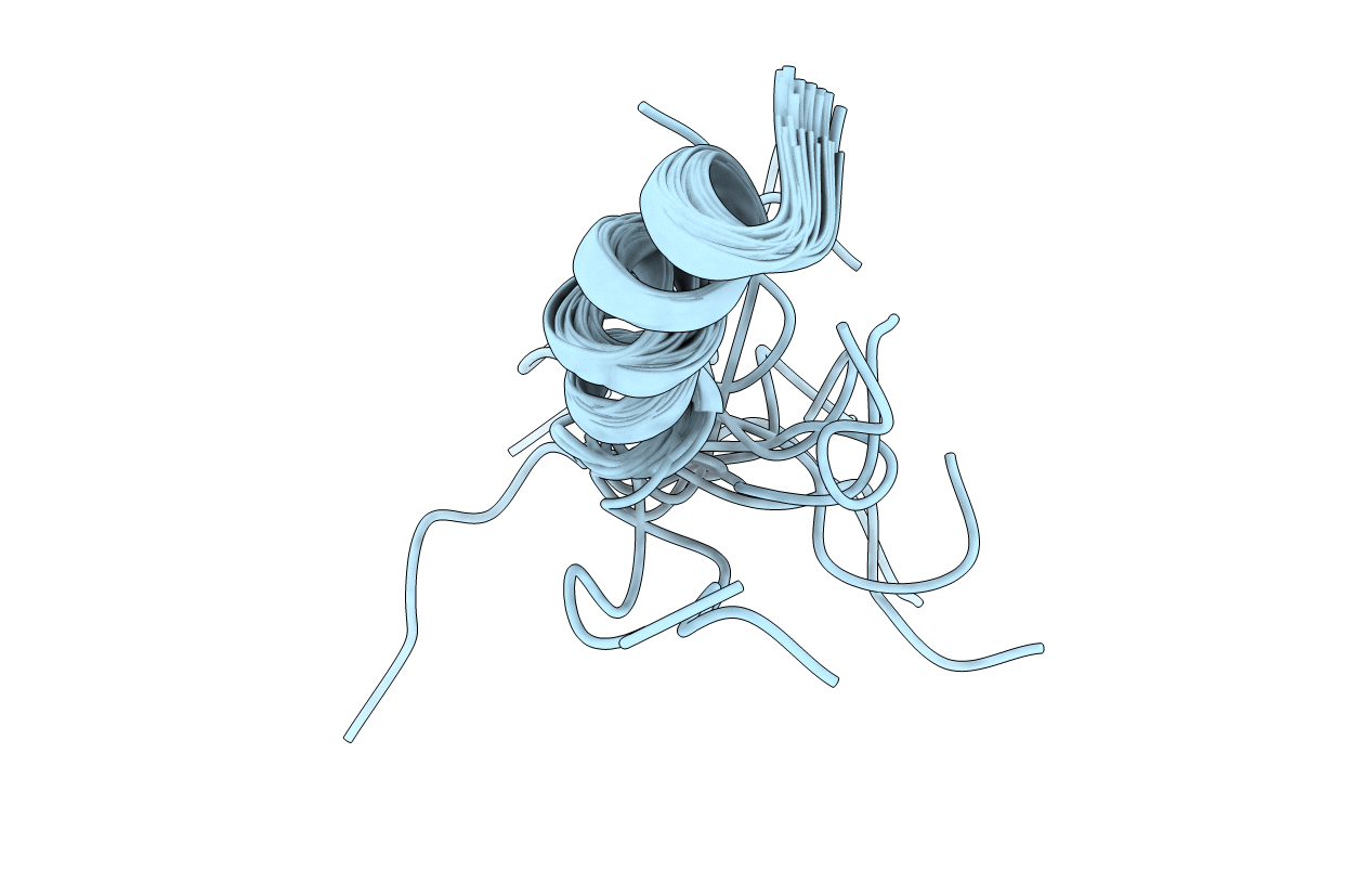1PLP image