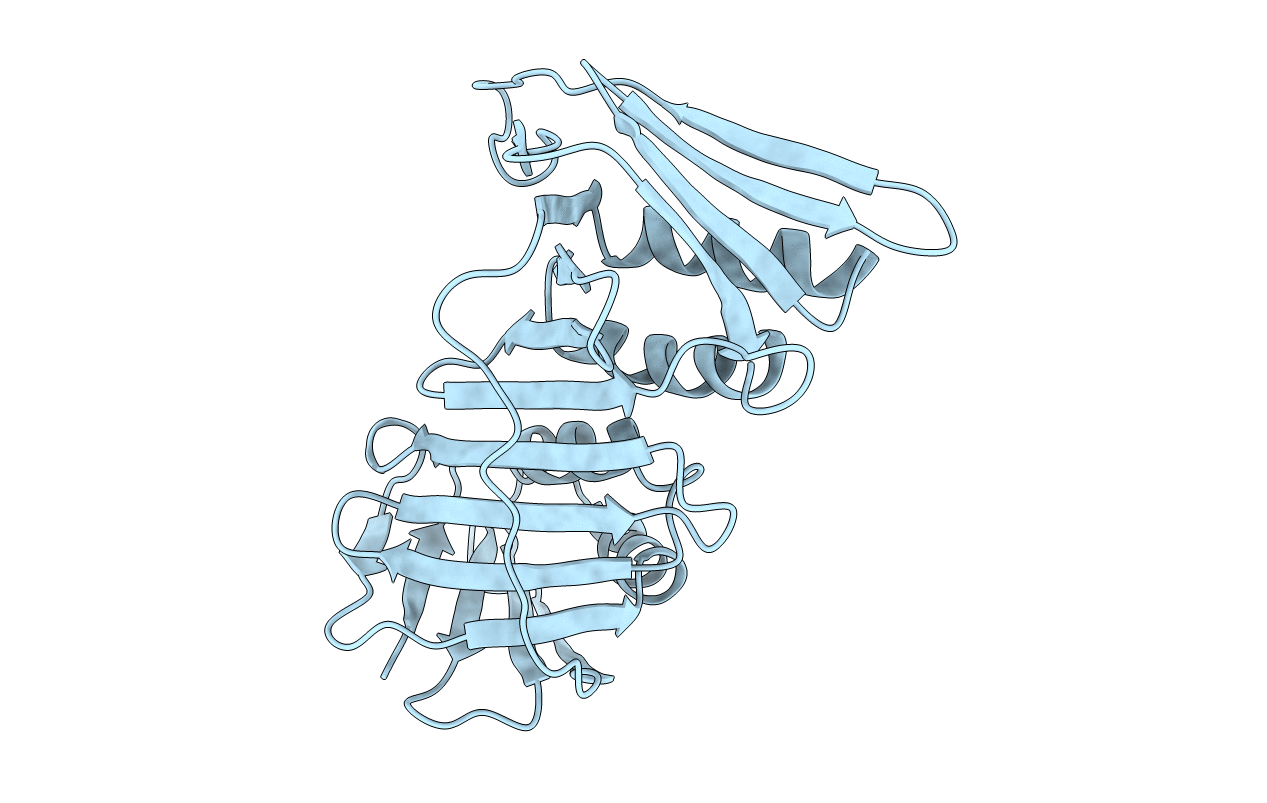 1plr image