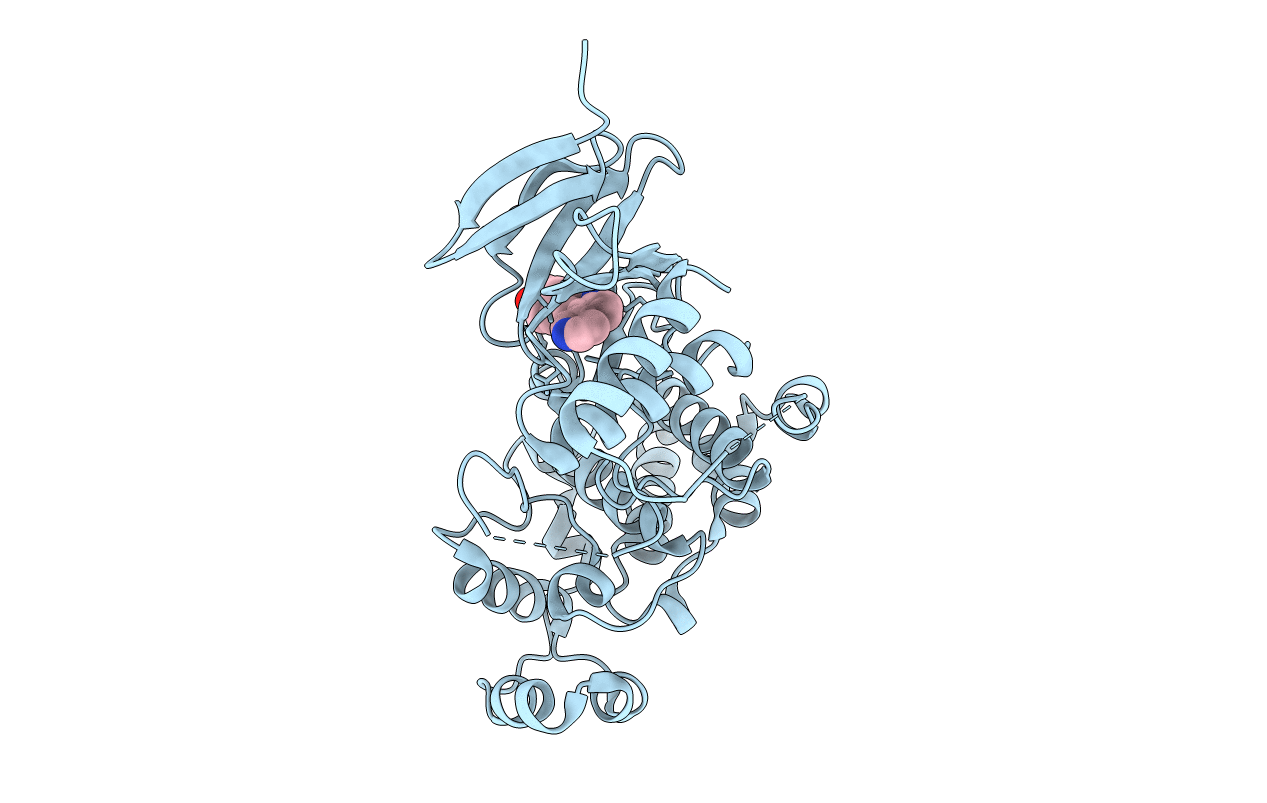 1PMU image