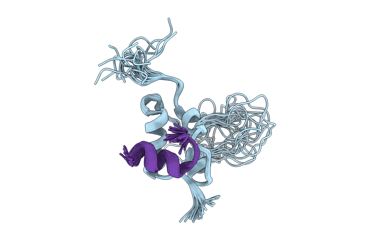 1PMX image