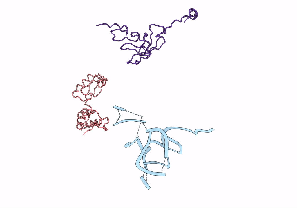 1PN7 image