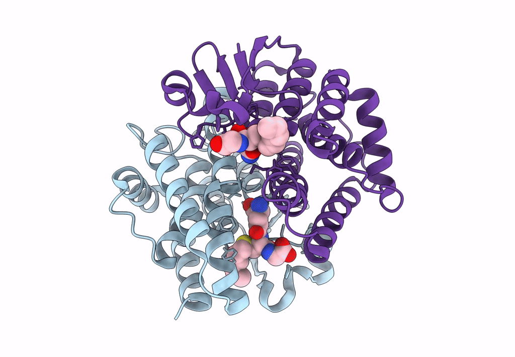1PN9 image