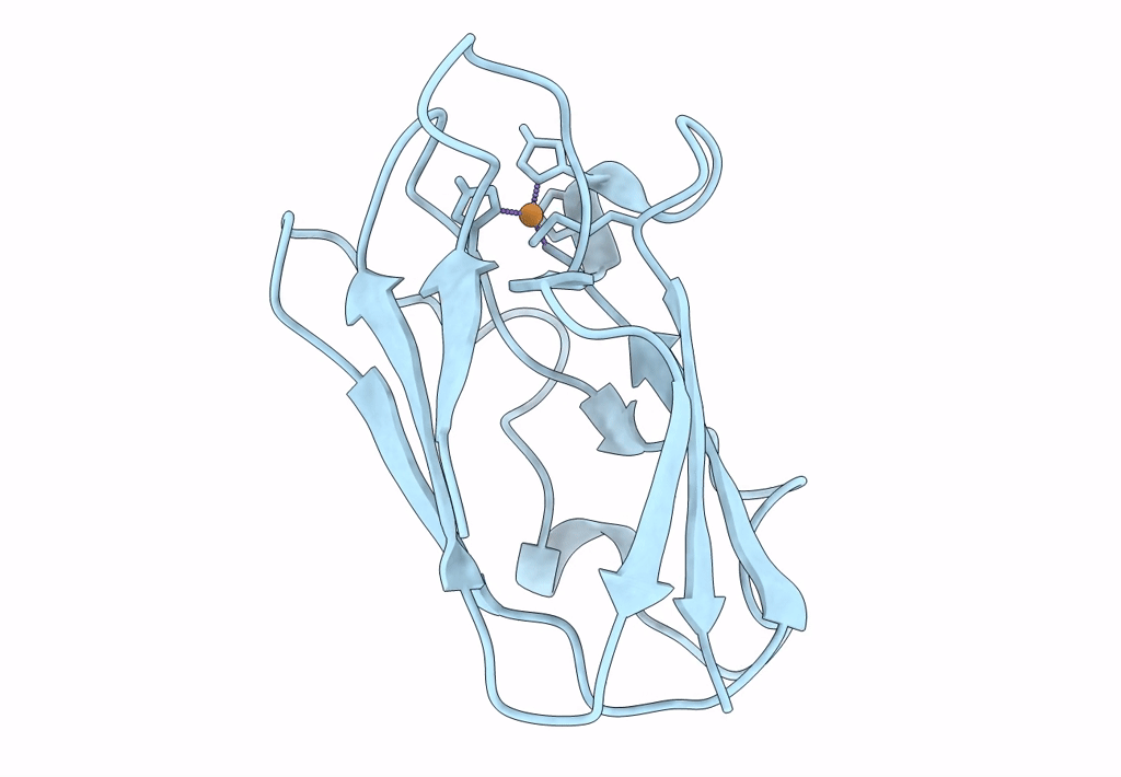 1PNC image
