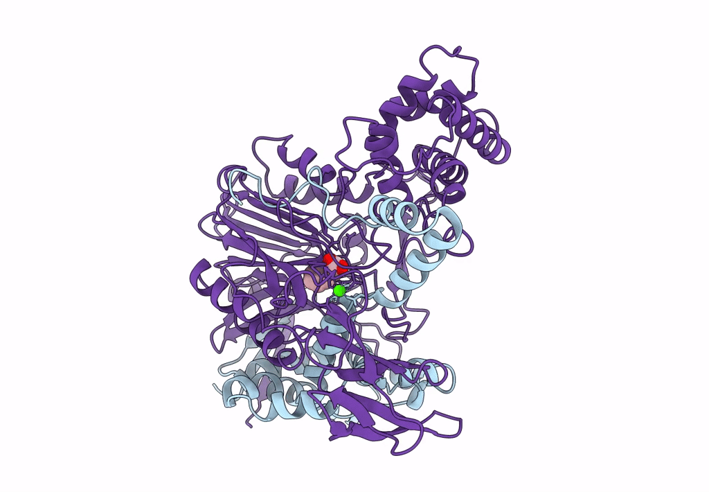 1PNL image