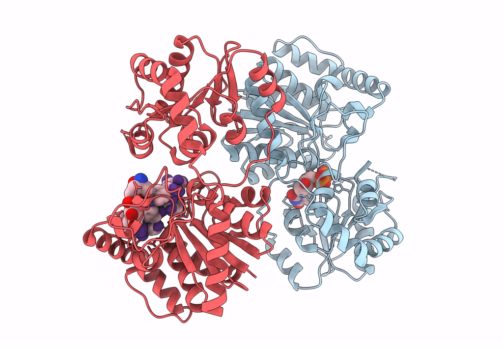 1PNV image