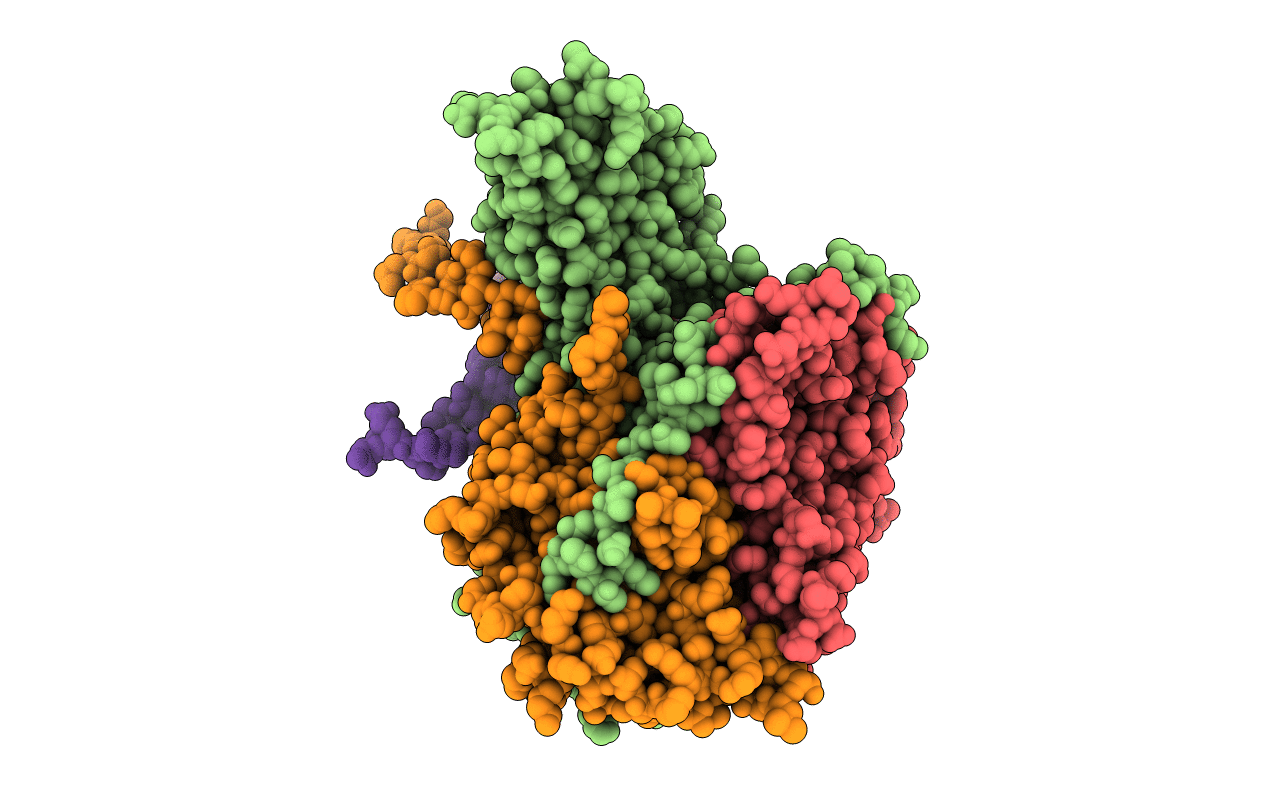1PO2 image
