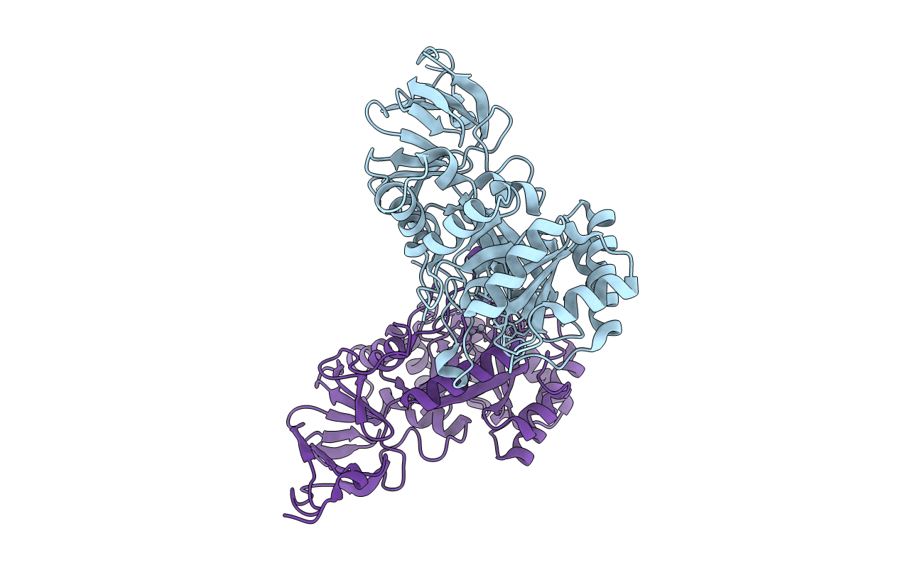 1PO9 image