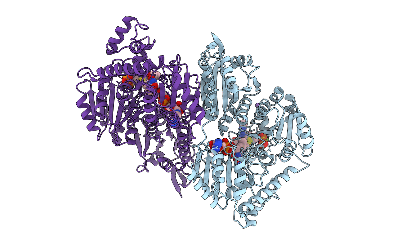 1POX image