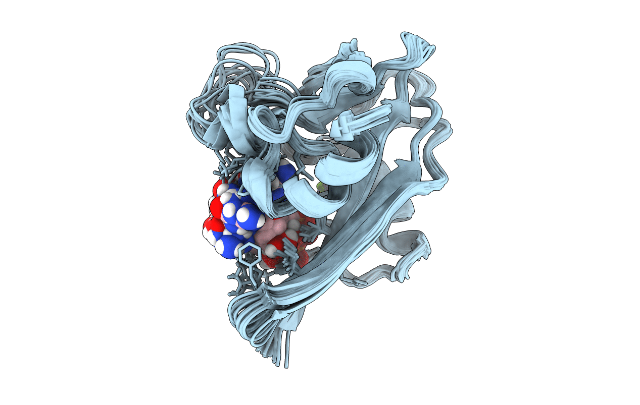 1PPX image