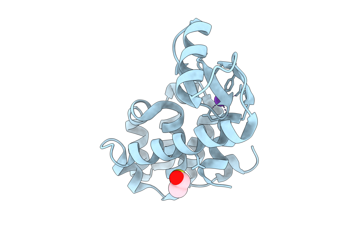 1PQI image