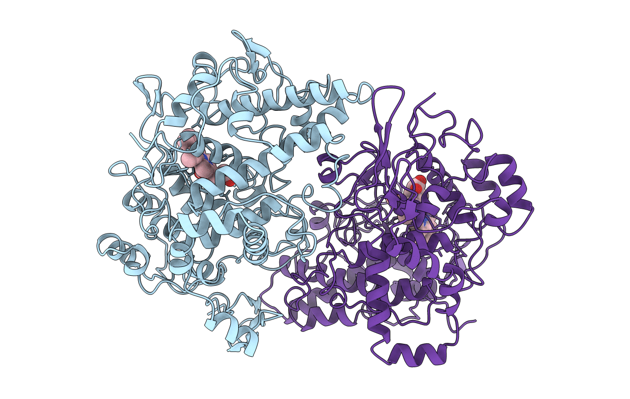 1PRH image