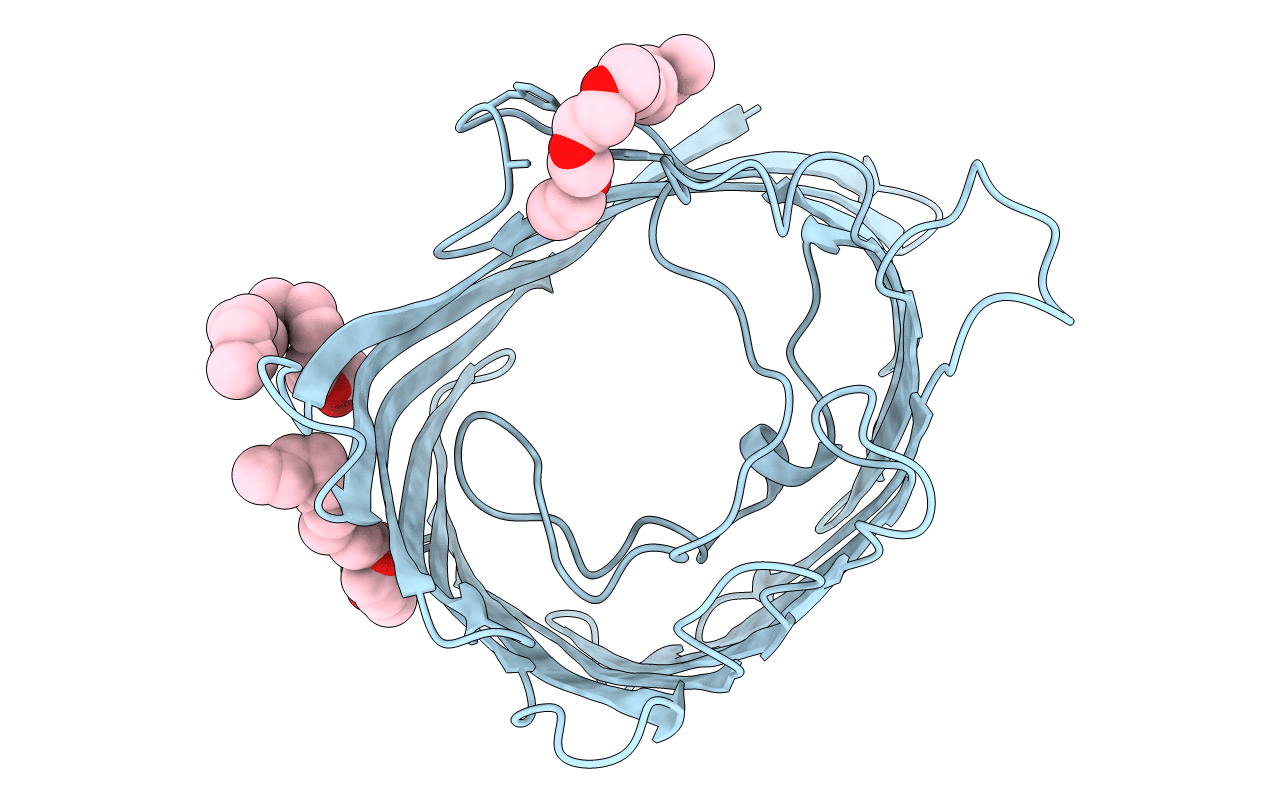 1PRN image