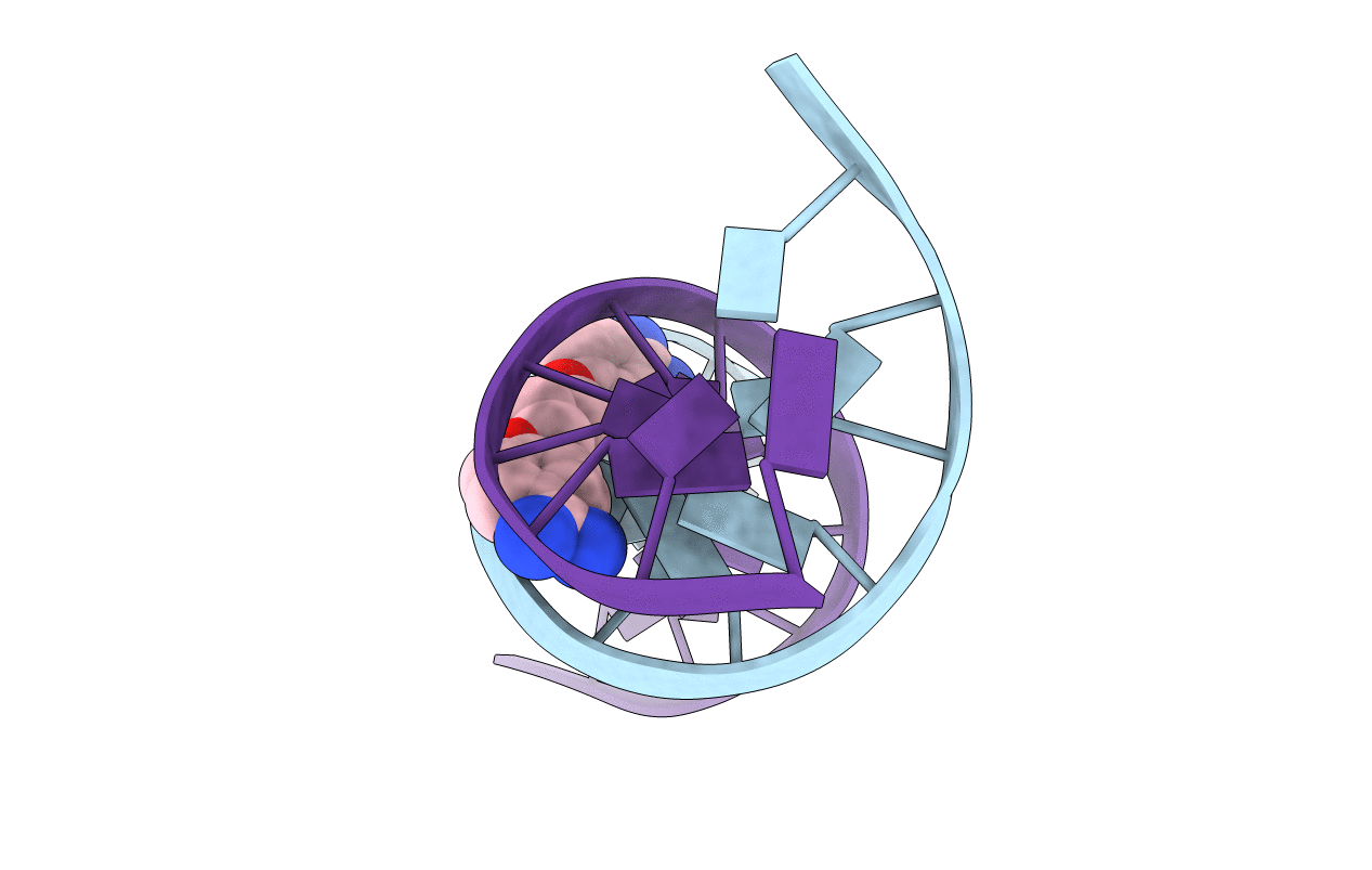 1PRP image