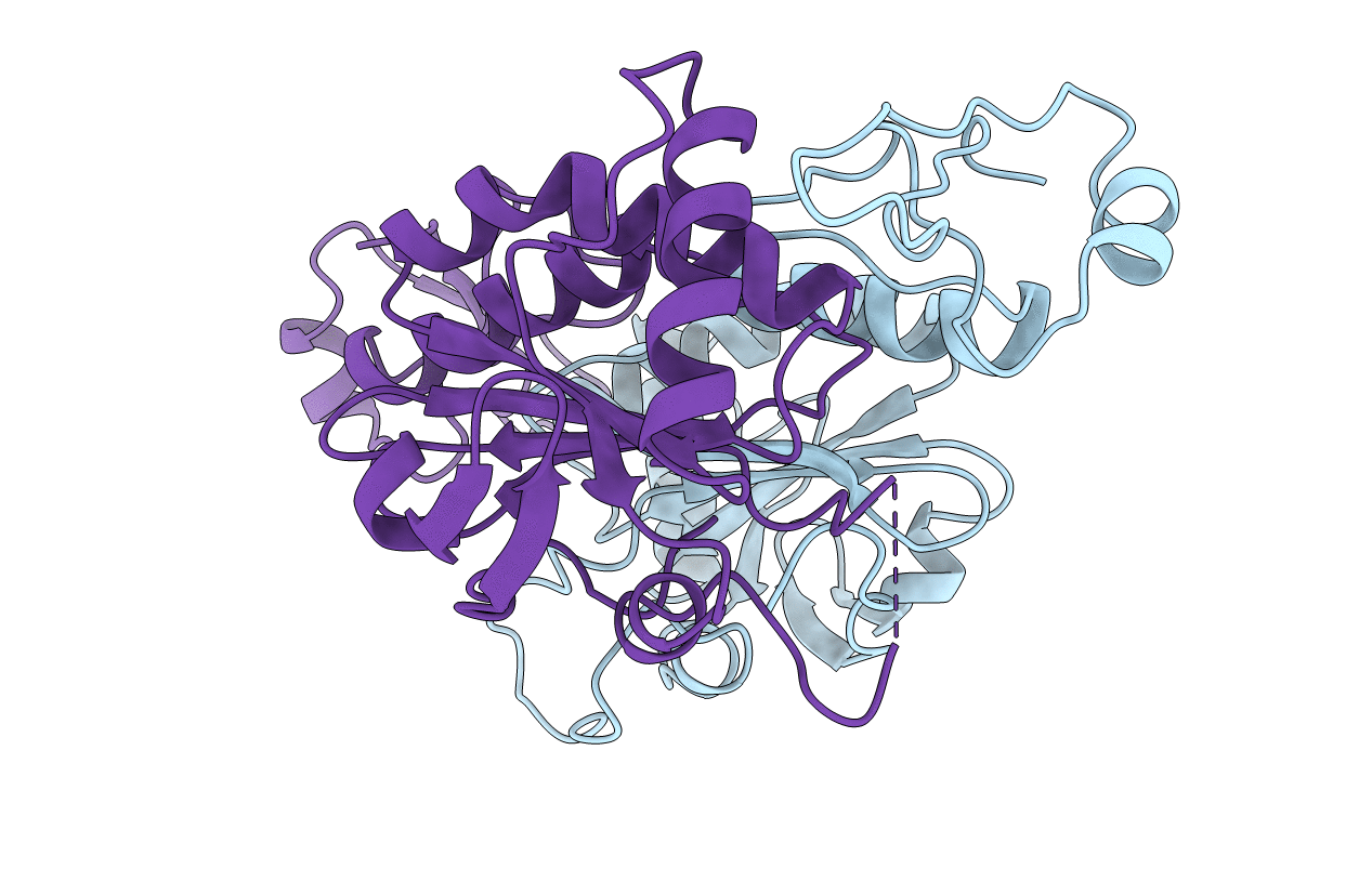1PRX image