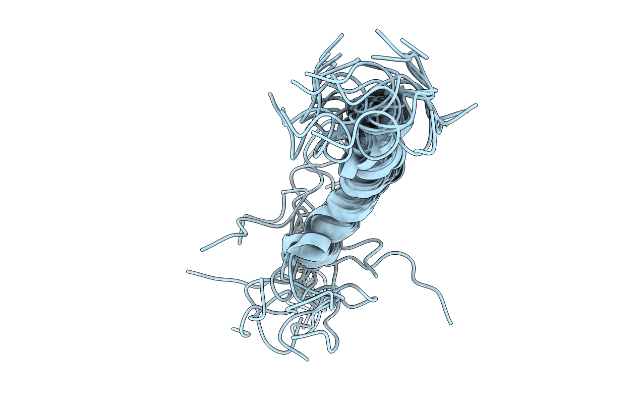 1PSM image
