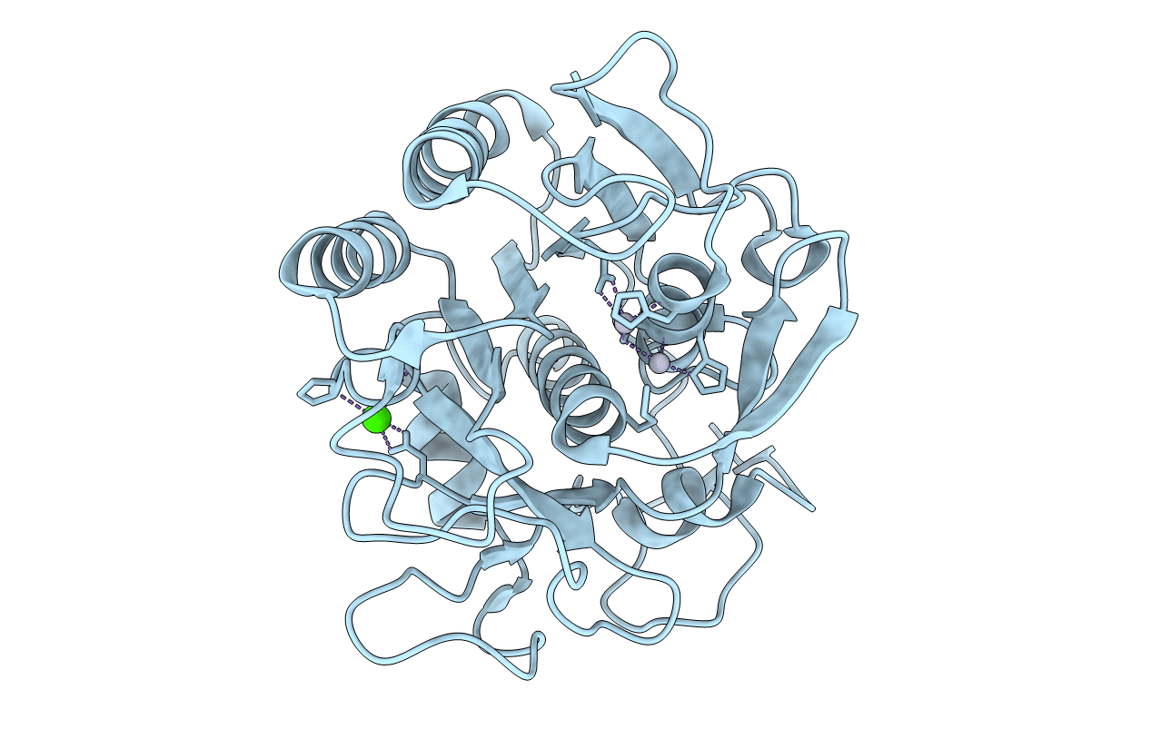 1PTK image
