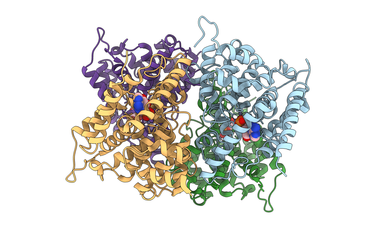 1PTW image