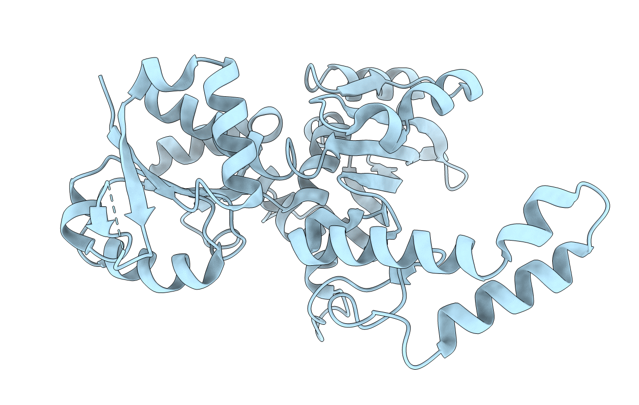 1PU2 image
