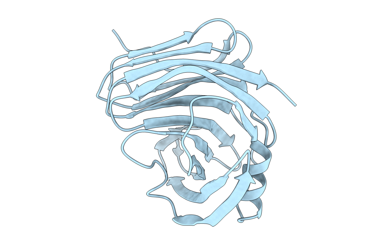 1PVX image