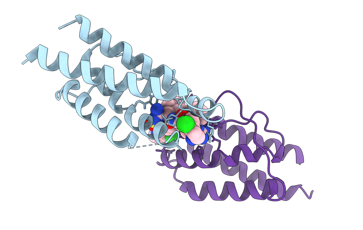 1PW6 image
