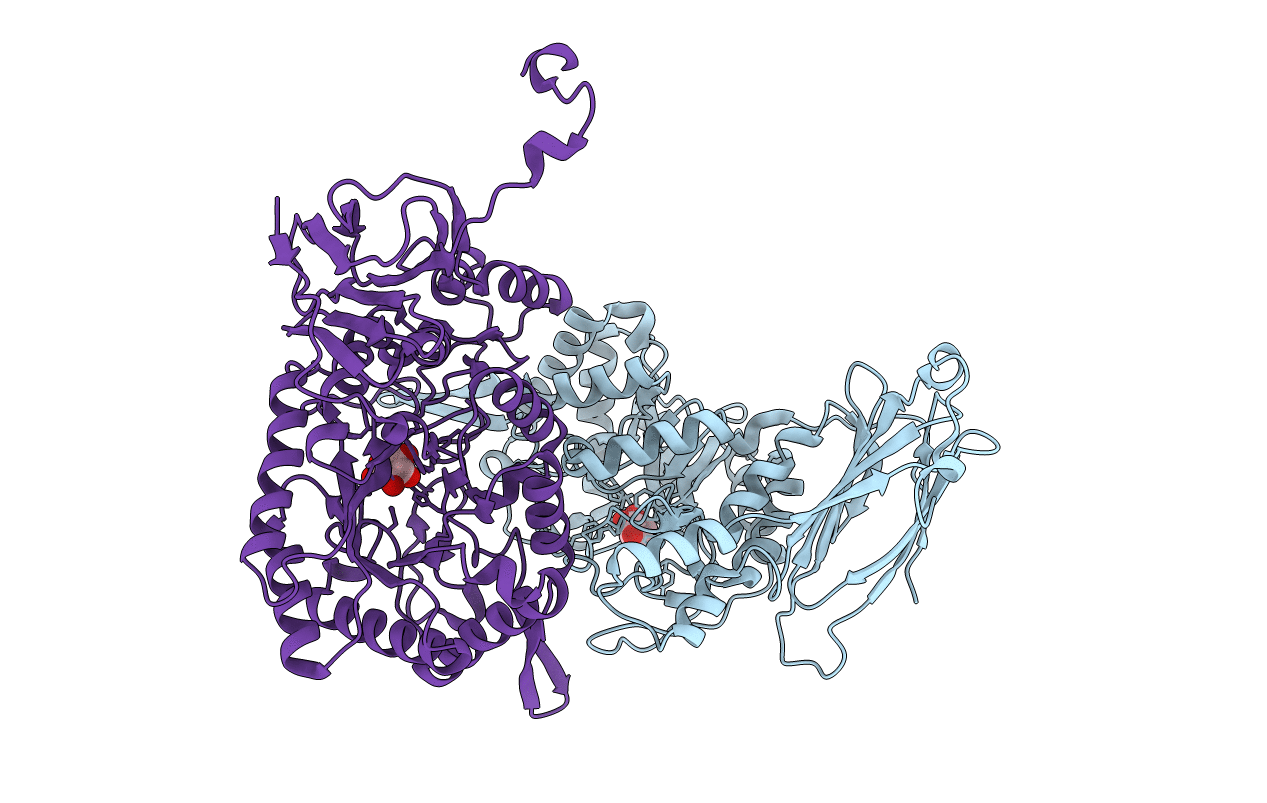 1PX8 image