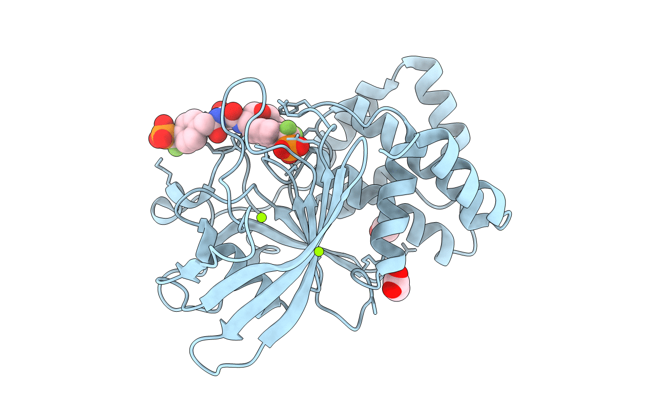 1PXH image