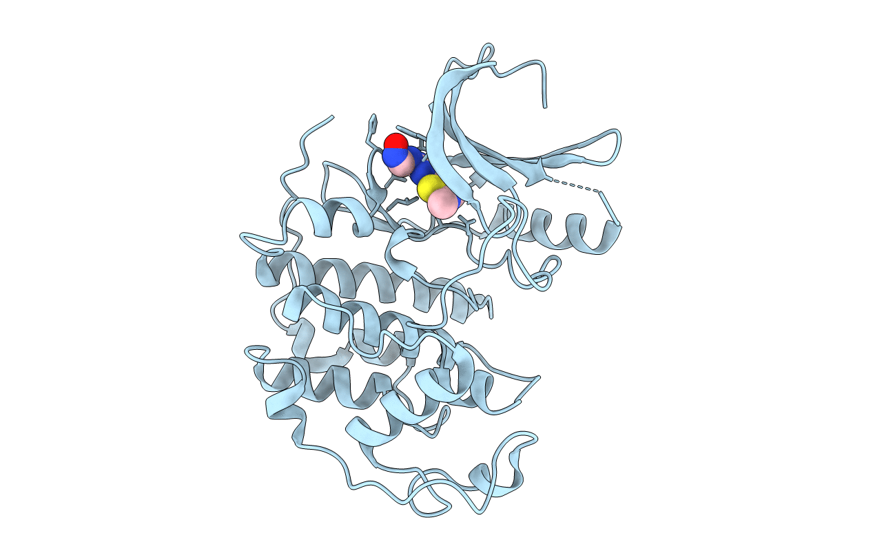 1PXK image