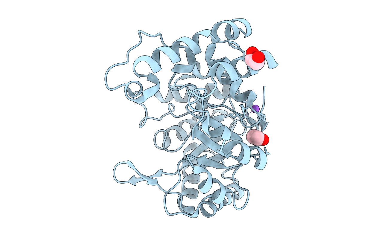 1PYF image