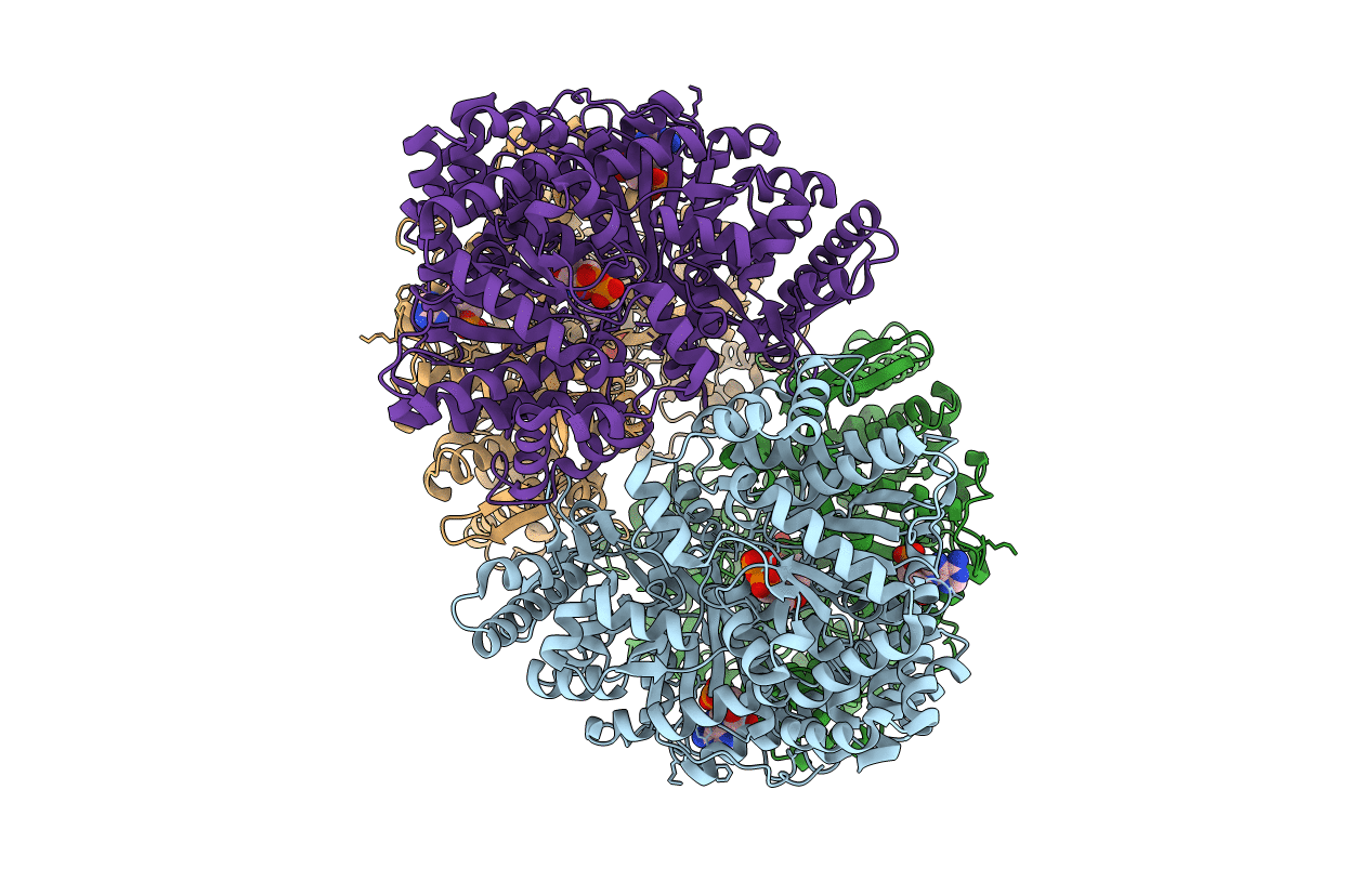 1PYG image