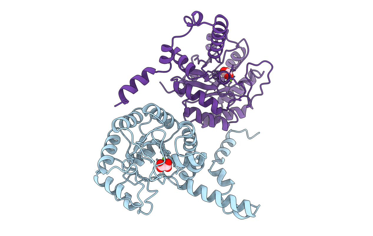 1PYM image
