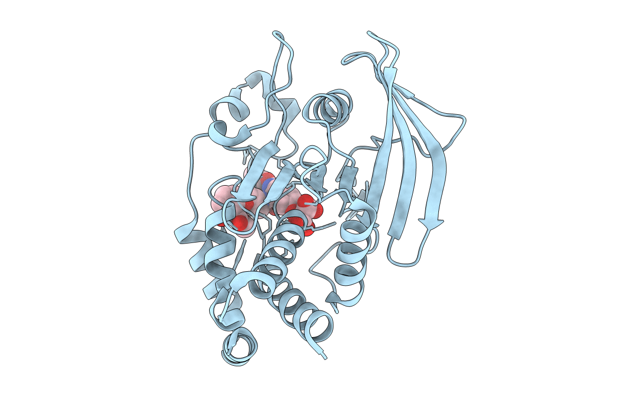 1PYN image