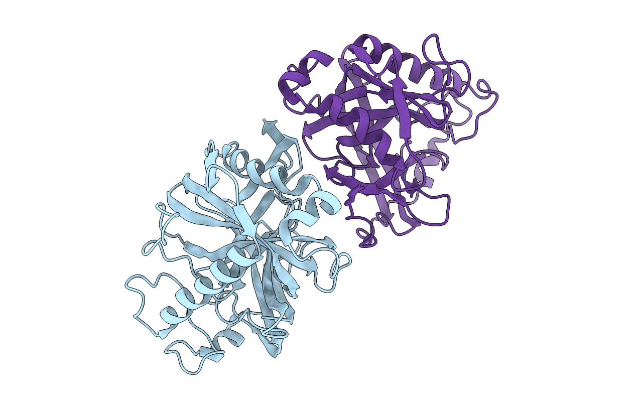 1PYP image