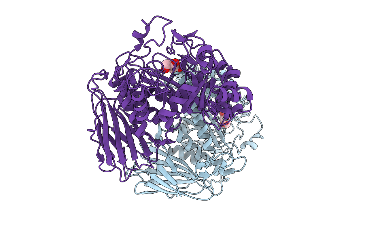 1PZ2 image